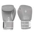 Titan Fury X Boxing Glove - Fight Hard (Grey)